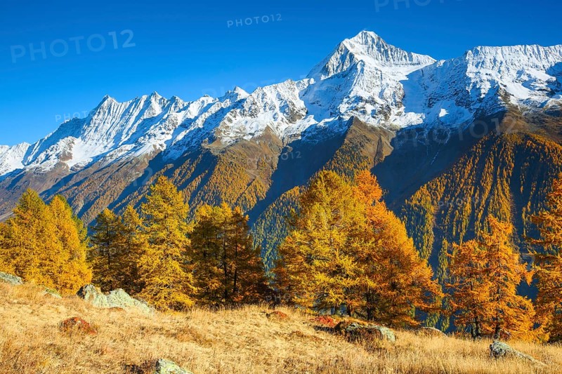 Bietschhorn