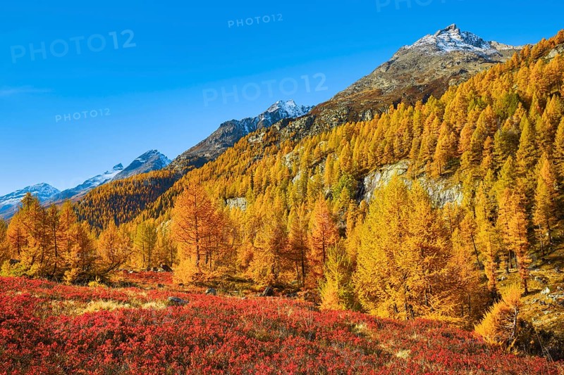Fafleralp in the Loetschental