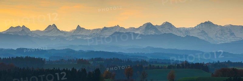 View Emmental