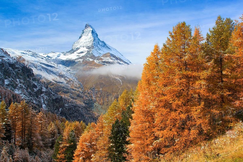 Matterhorn and larch