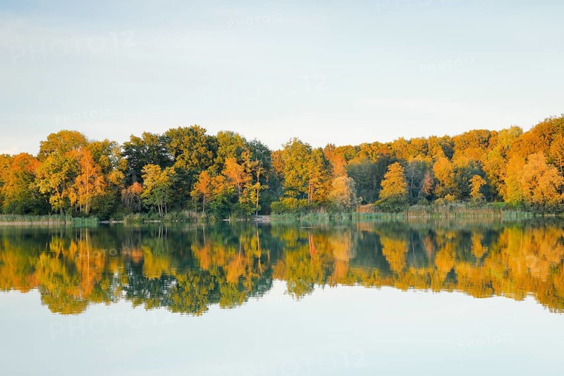 Burgaeschisee