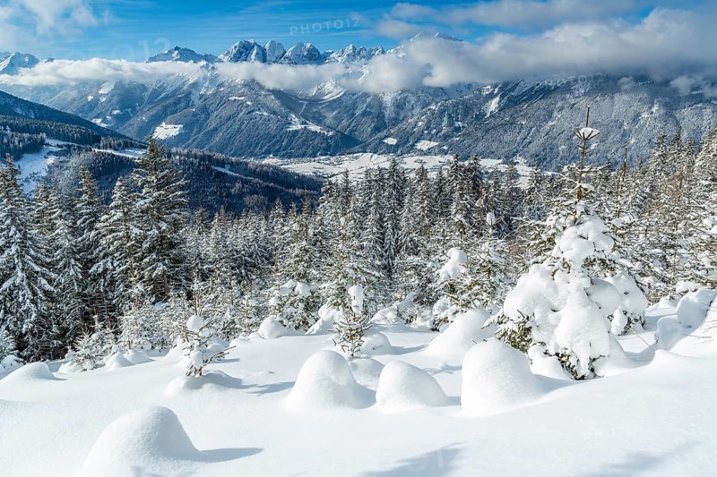 Winter landscape