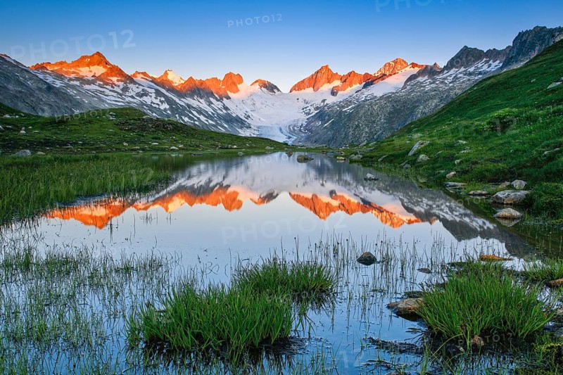 Swiss Alps