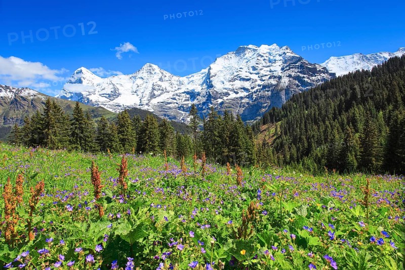 Eiger