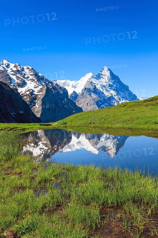 Grosse Scheidegg