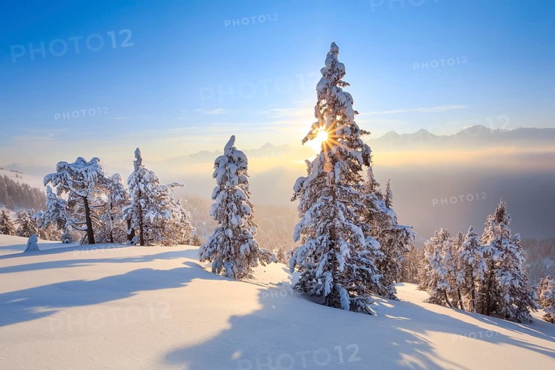 Bernese Alps