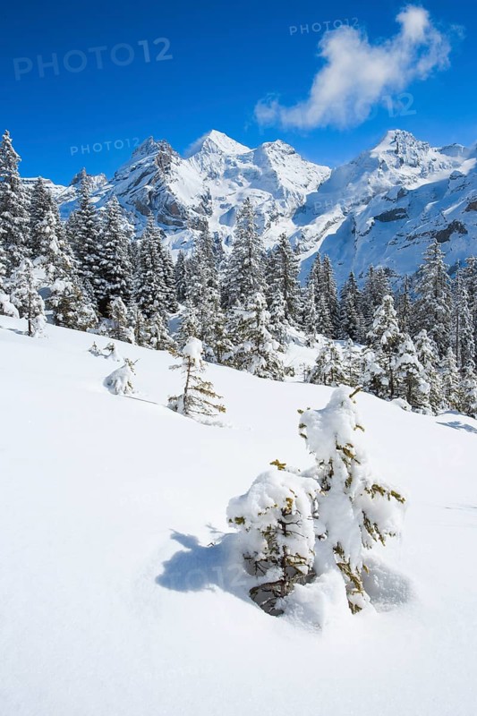 Blueemlisalp Rothorn