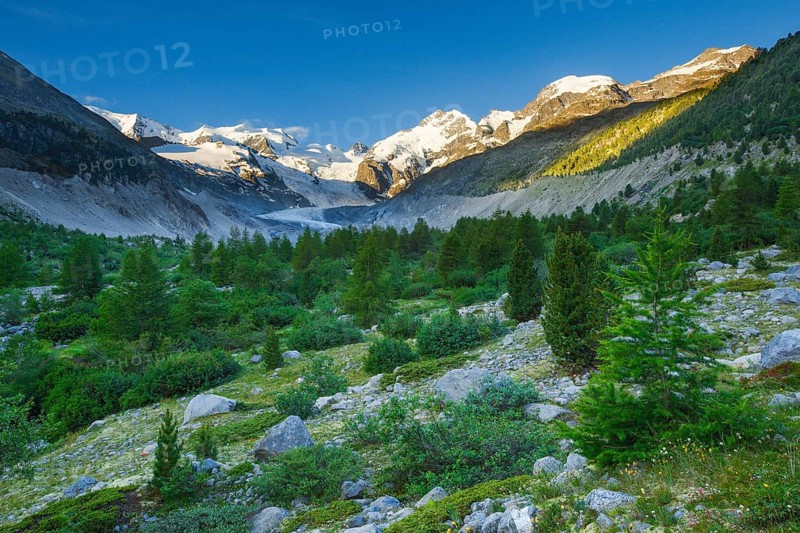 Morteratsch valley