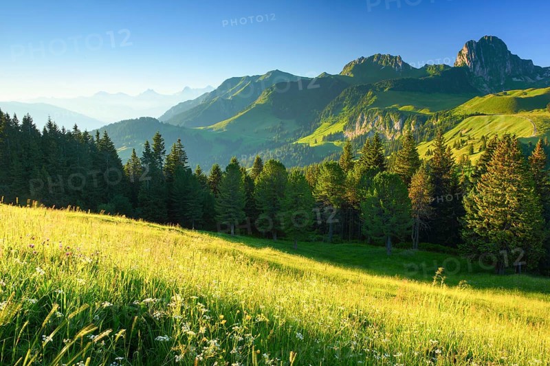 Swiss Pre-Alps and Alps