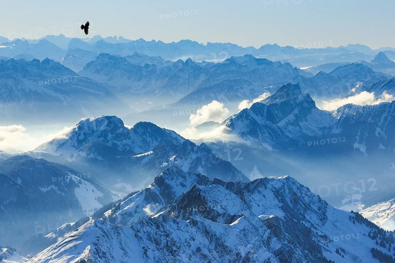 View from Saentis