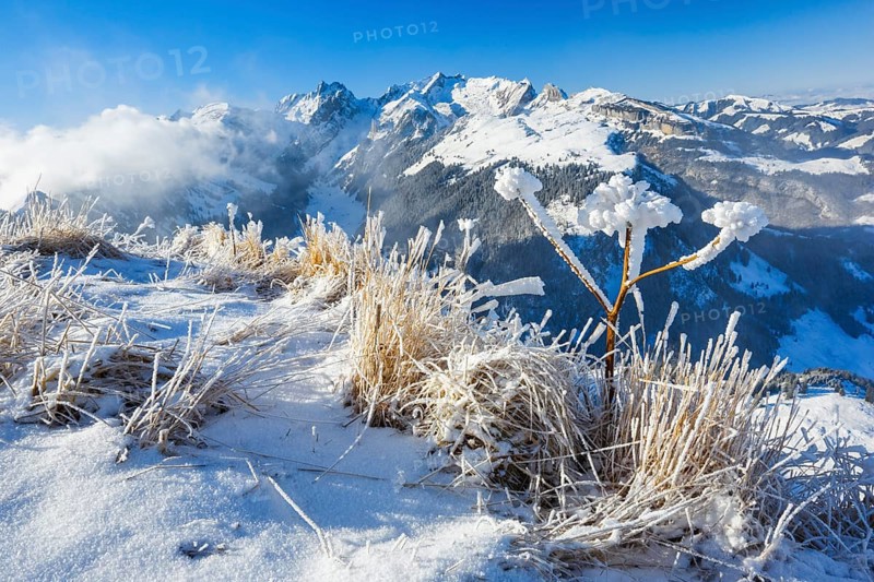 View Hoher Kasten