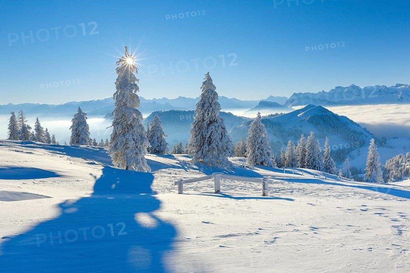 View from the Rigi
