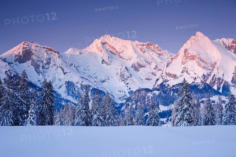Saentis