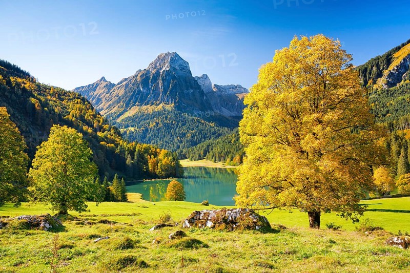 Obersee