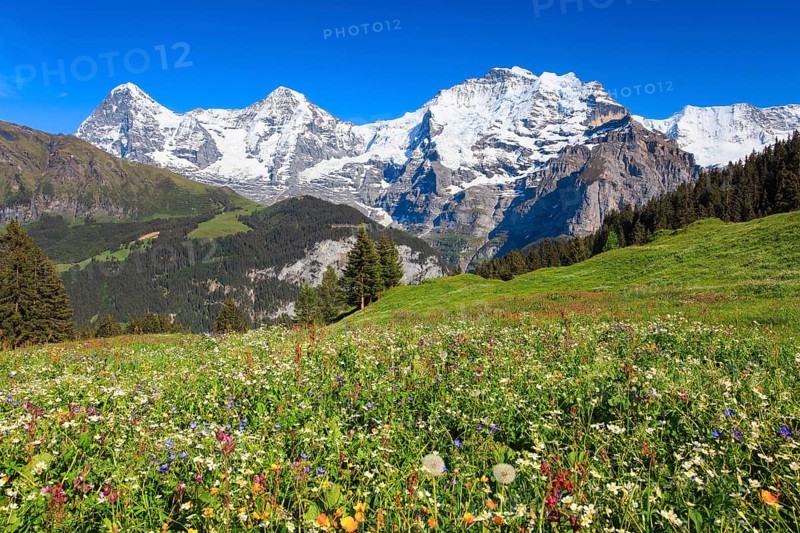Eiger