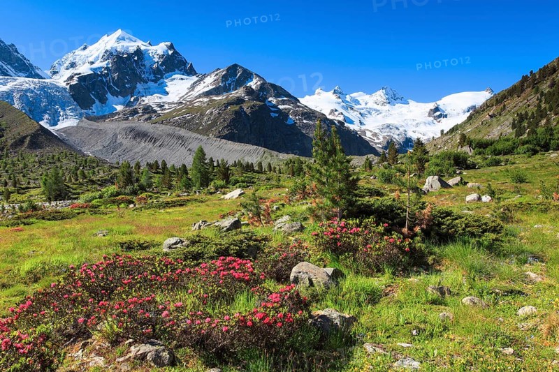 Val Roseg with Piz Roseg