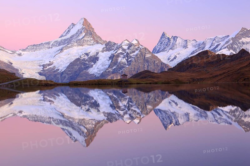 Swiss Alps