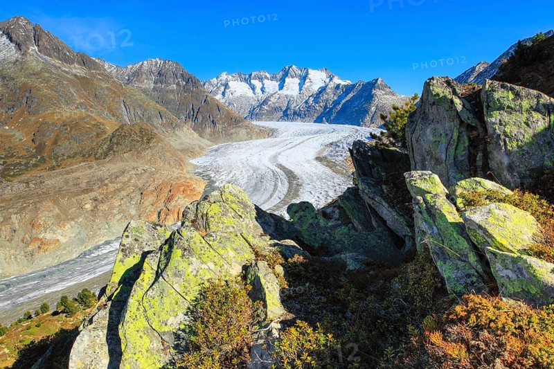 Great Aletsch Glacier and Wannenhorns