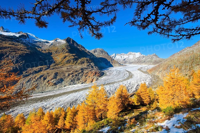 Great Aletsch Glacier and Wannenhorns