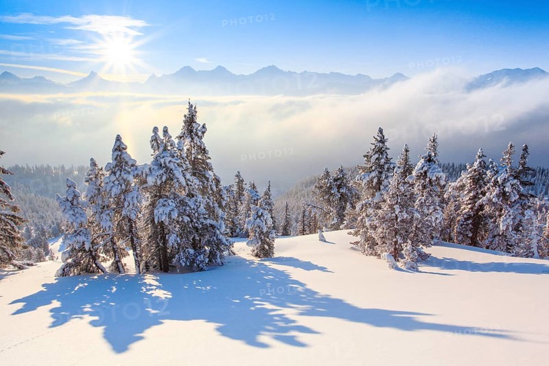 Bernese Alps