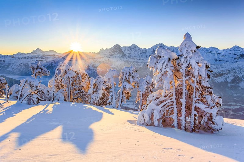 Bernese Alps