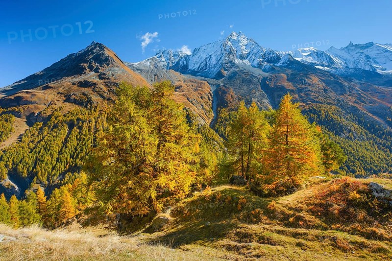 Grande Dent de Veisivi