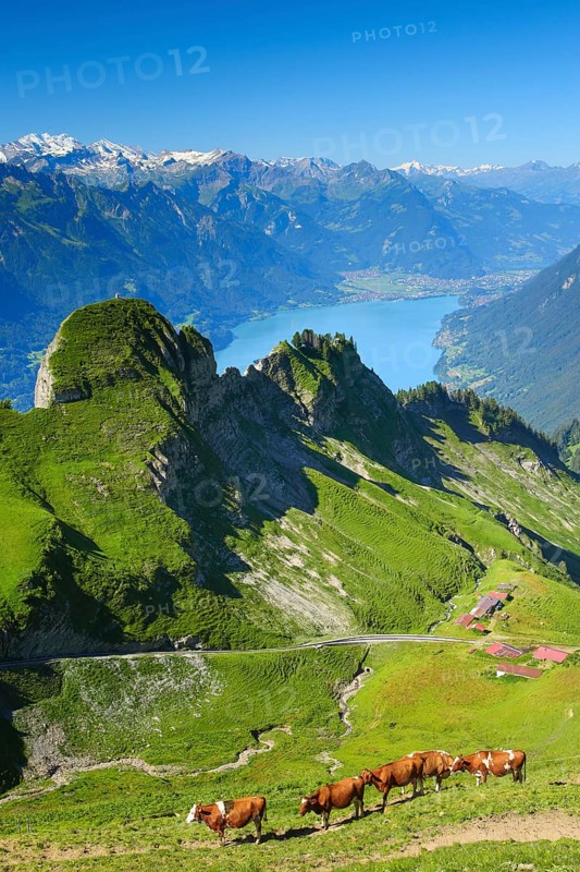 Brienzer Rothorn