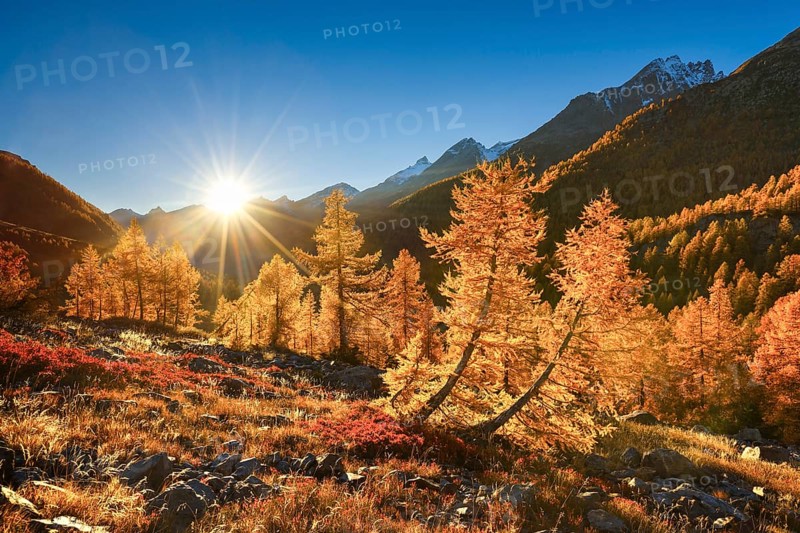 Fafleralp in the Loetschental