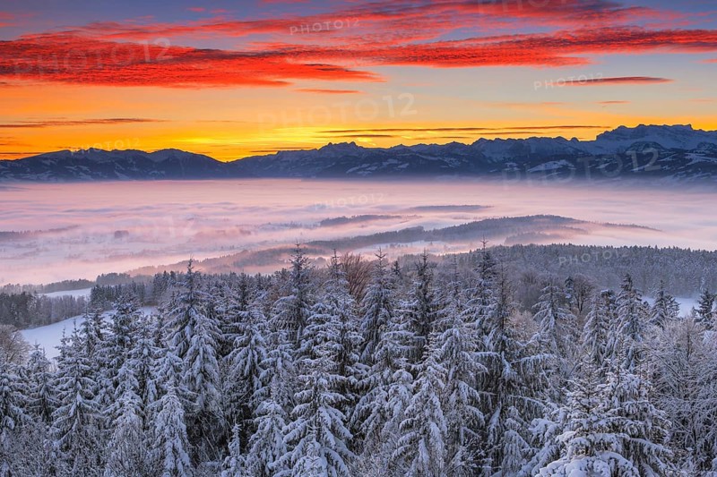 Zurich Oberland with view of Muertschenstock and Glaernisch