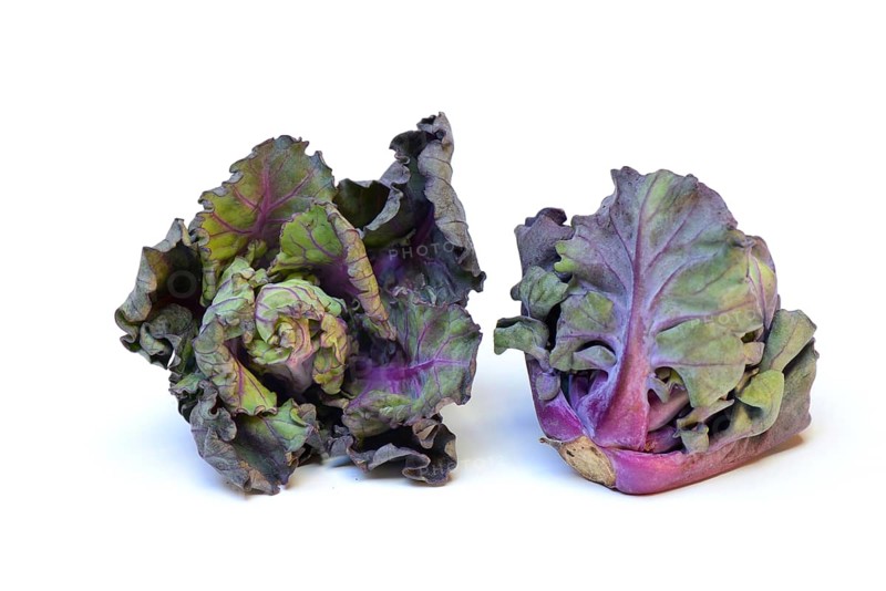 Flower Sprouts