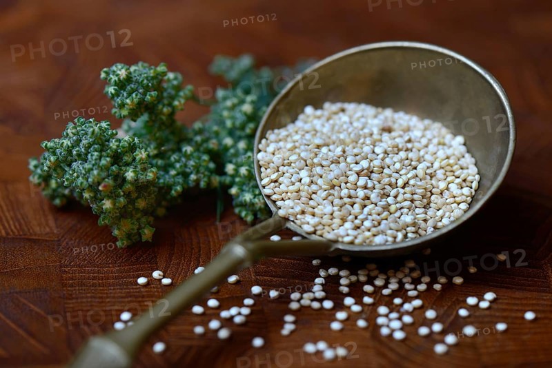 Quinoa in brass ladle