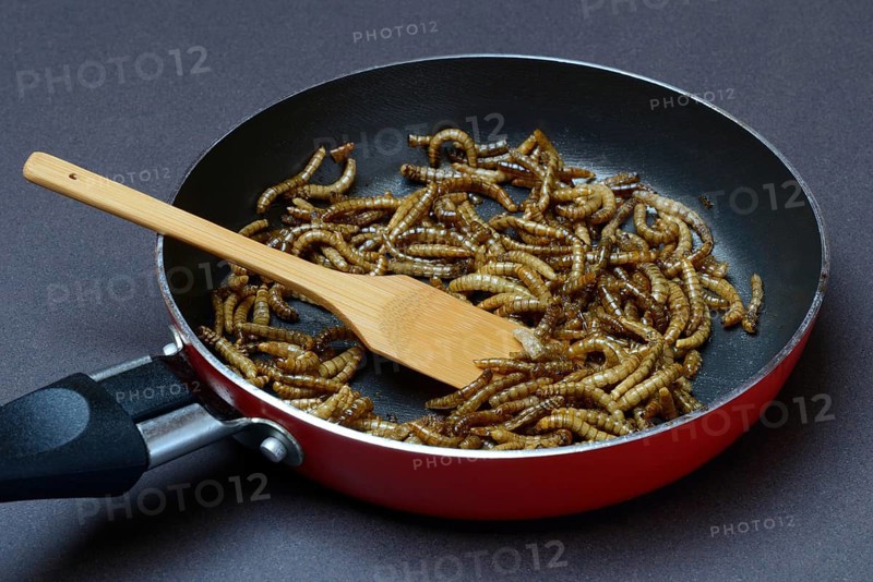 Fried mealworms in pan