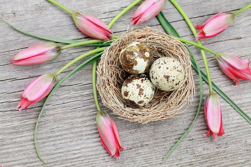 Natural Easter Decoration