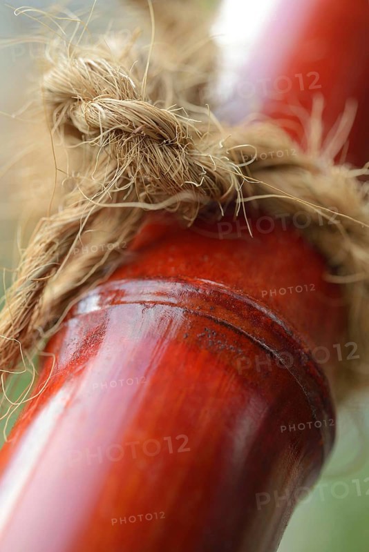 Knots on bamboo cane