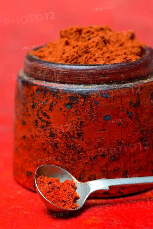 Paprika powder in spoon