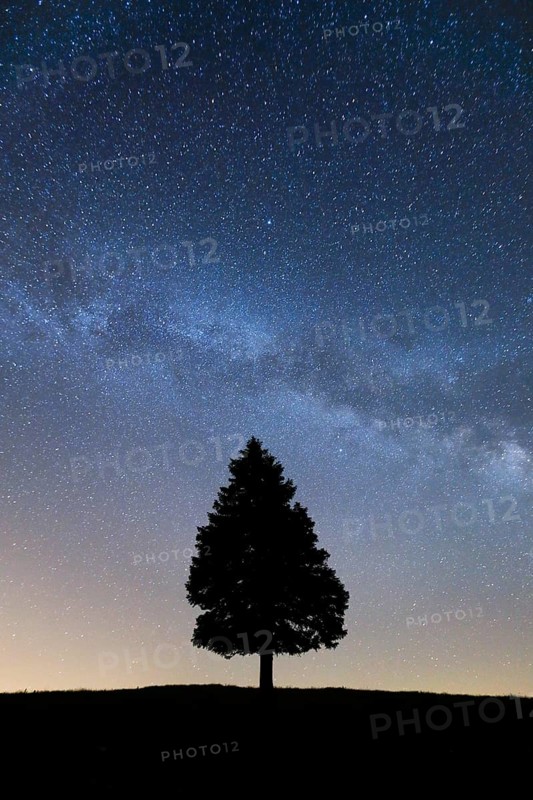 Starry sky with milky way