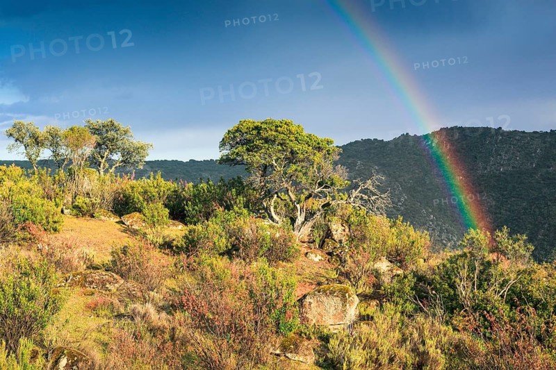 Typical landscape in the Sierra de Andujar National Park