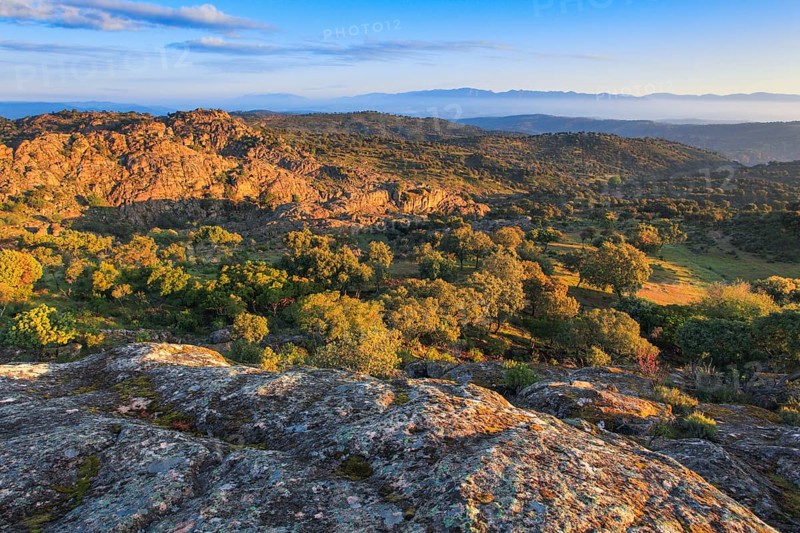 Typical landscape in the Sierra de Andujar National Park