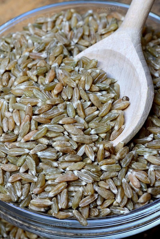 Unripe spelt grain