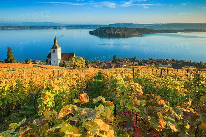 Ligerz on Lake Biel