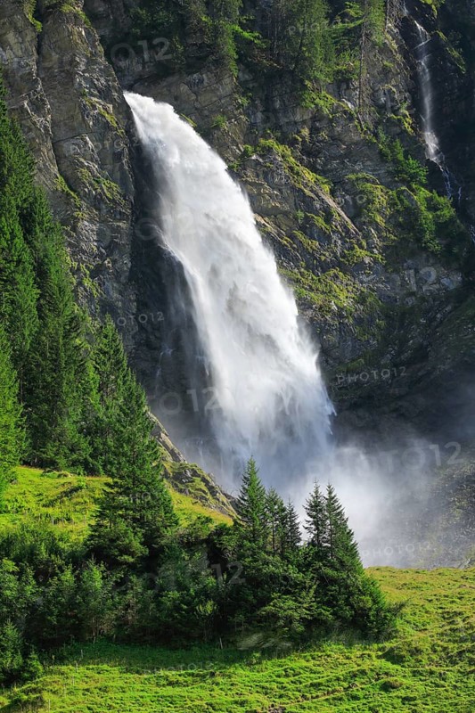 Staeubifall