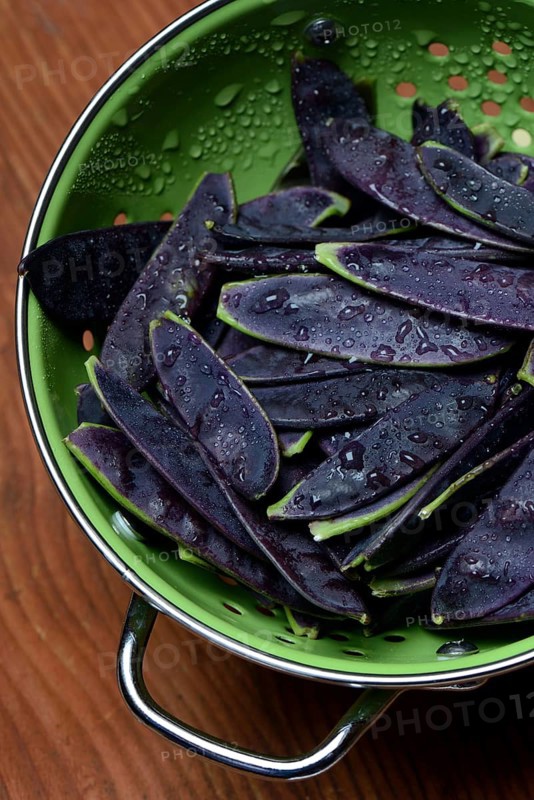 Violet pods