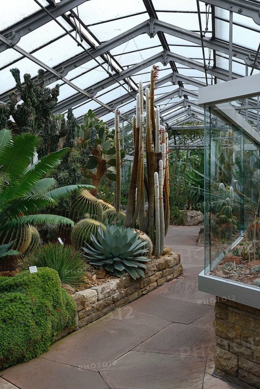 Cactus house at Wilhelma