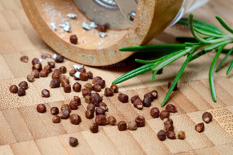 Aframomum melegueta with pepper mill