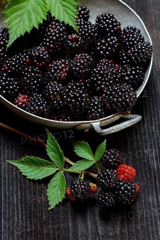 Blackberries