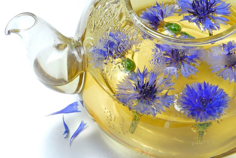 Cornflowerstea