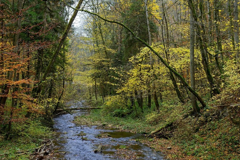 Wutach Gorge