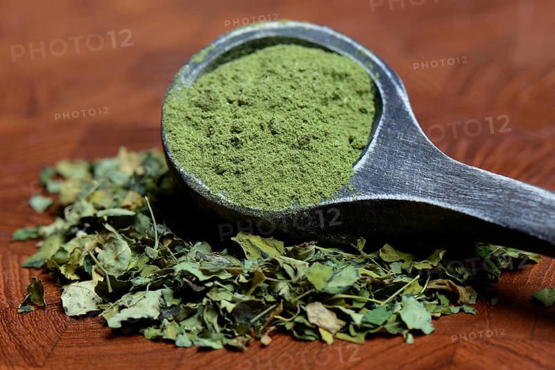 Moringa leaves and Moringa powder in wooden spoon
