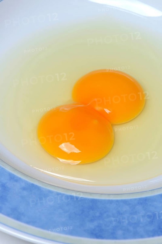 Hen's egg with double yolk
