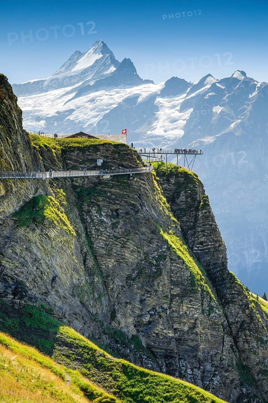 Schreckhorn